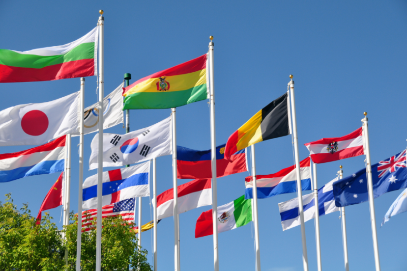 Cross Border Legal Advisory