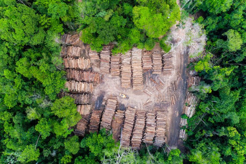 Escaping The Sustainability Transparency Trap